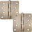 Standard Hinge