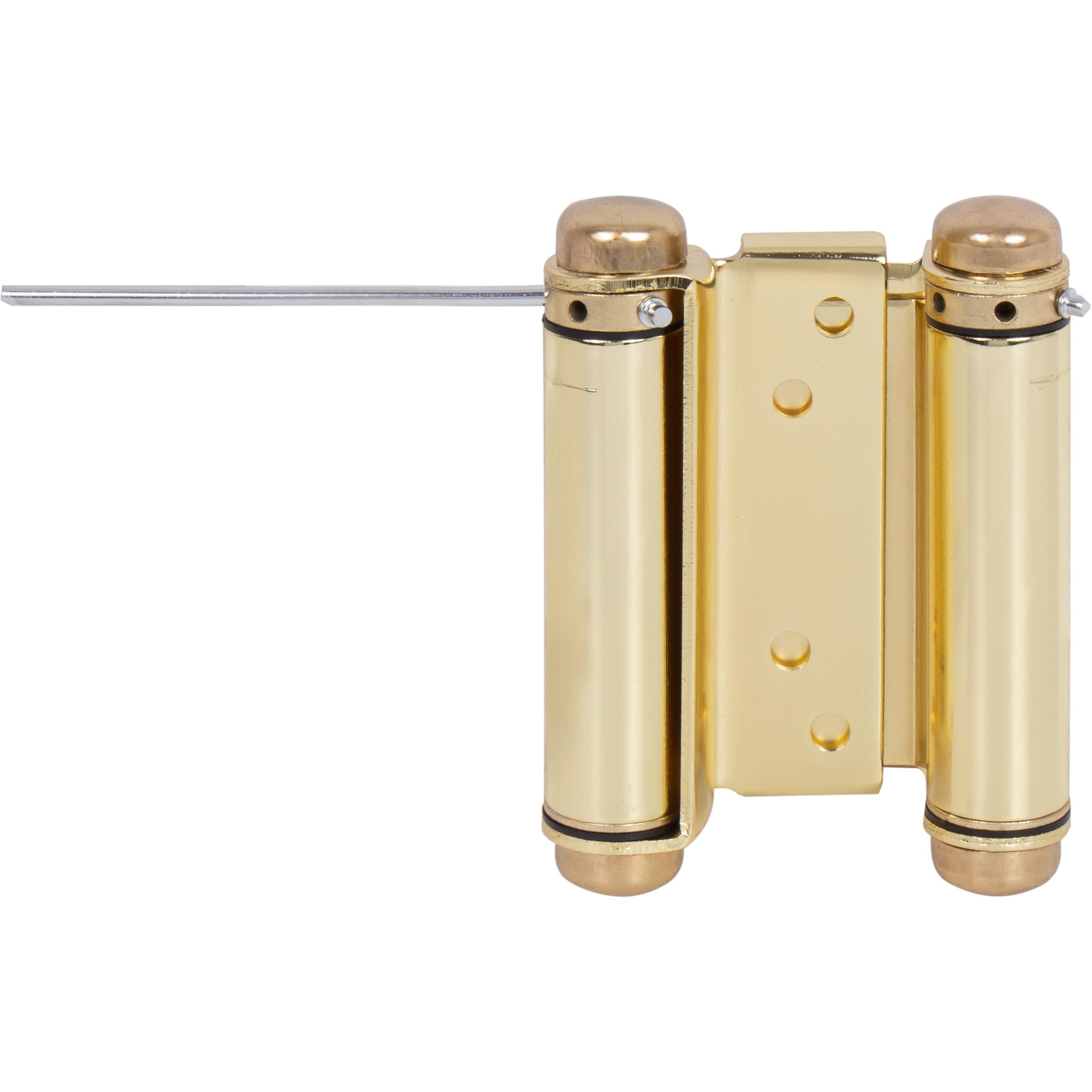 Heavy-Duty Double Acting Spring Hinge - Polished Brass
