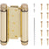 Heavy-Duty Double Acting Spring Hinge - Polished Brass
