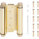 Heavy-Duty Double Acting Spring Hinge - Polished Brass